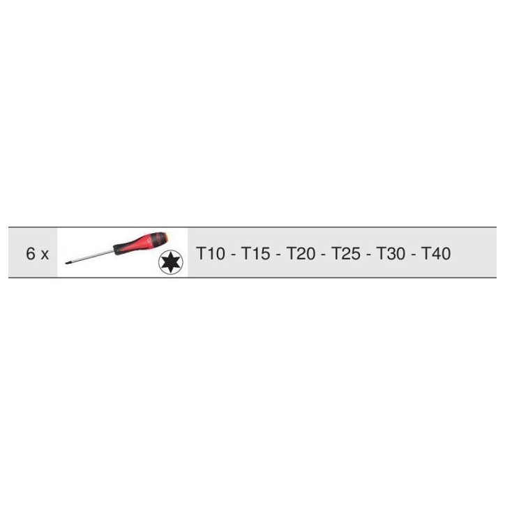Module - KS TOOLS - 713.5013 - Module de tournevis Ultimate Torx - 6 pieces - Pour servantes et établis
