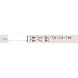 Module - KS TOOLS - 713.5018 - Module de clés mâles Torx a poignée