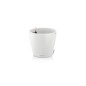 LECHUZA Pot de fleurs - Classico color 28 - Ø 28 x 26 - Kit complet - Blanc - 9 L LECHUZA Pot de fleurs - Classico color 28 - Ø 28 x 26 - Kit complet - Blanc - 9 L
