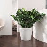 LECHUZA Pot de fleurs Classico Color 43 - All-in-one - Ø 42,0 x 39,5