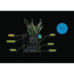 LECHUZA Pot de fleur - CANTO Stone 40 LED - 40 x 40 x 56 cm - Lit Sur