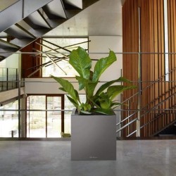 LECHUZA Pot de fleurs - Canto Premium Cube 40 - 40 x 40 x 40 cm - Kit