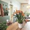 LECHUZA Jardiniere ORCHIDEA ALL-IN-ONE Blanc mat