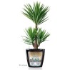 LECHUZA Pot de fleurs - Classico Premium 60 - Ø 60 x 55,5 cm - Kit co