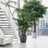 LECHUZA Pot de fleurs - Classico Premium 60 - Ø 60 x 55,5 cm - Kit co