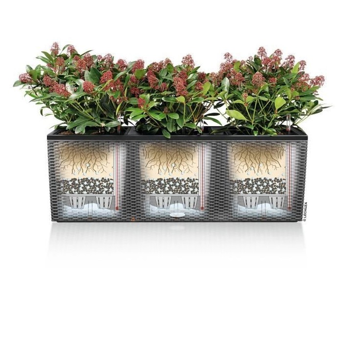 LECHUZA Jardiniere - Trio cottage 30 - 100 x 32,5 x 34,5 cm - 42 L - Kit complet - Granit