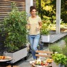 LECHUZA Jardiniere Trio Cottage 30 - 100 x 32,5 x 34,5 cm - 100 % recy