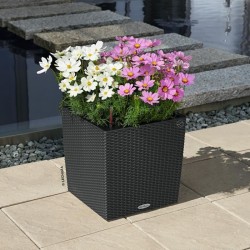LECHUZA Pot de fleurs - Cube cottage 40 - 39,0 x 39,0 x 40 cm - 31 L -