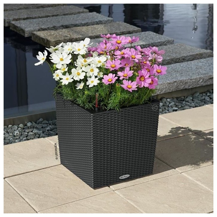 LECHUZA Pot de fleurs - Cube cottage 40 - 39,0 x 39,0 x 40 cm - 31 L - Kit complet - Granit