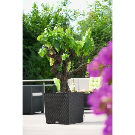 LECHUZA Pot de fleurs Cube cottage 50 - 50 x 50 x 50 cm - Kit complet - Granit - 61 L -