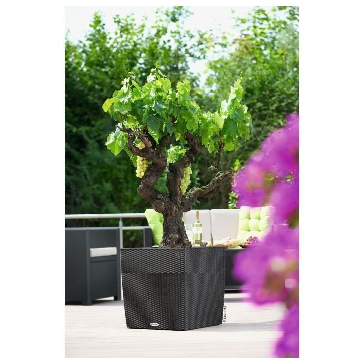 LECHUZA Pot de fleurs Cube cottage 50 - 50 x 50 x 50 cm - Kit complet - Granit - 61 L - LECHUZA Pot de fleurs Cube cottage 50 - 50 x 50 x 50 cm - Kit complet - Granit - 61 L -