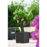 LECHUZA Pot de fleurs Cube cottage 50 - 50 x 50 x 50 cm - Kit complet