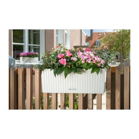 Jardiniere - Lechuza - Balconera Cottage 50 - Blanc - 44x33 cm - Avec réserve d'eau