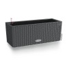LECHUZA Jardiniere - Balconera Cottage 50 50 x 19 x 19 cm - Kit Comple
