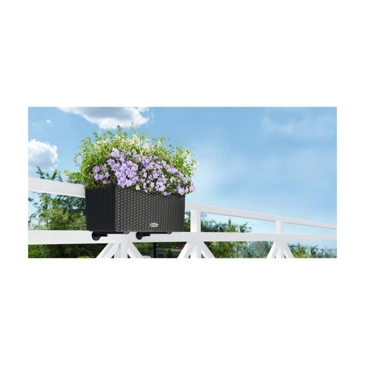 LECHUZA Jardiniere - Balconera Cottage 50 50 x 19 x 19 cm - Kit Complet - Granit LECHUZA Jardiniere - Balconera Cottage 50 50 x 19 x 19 cm - Kit Complet - Granit