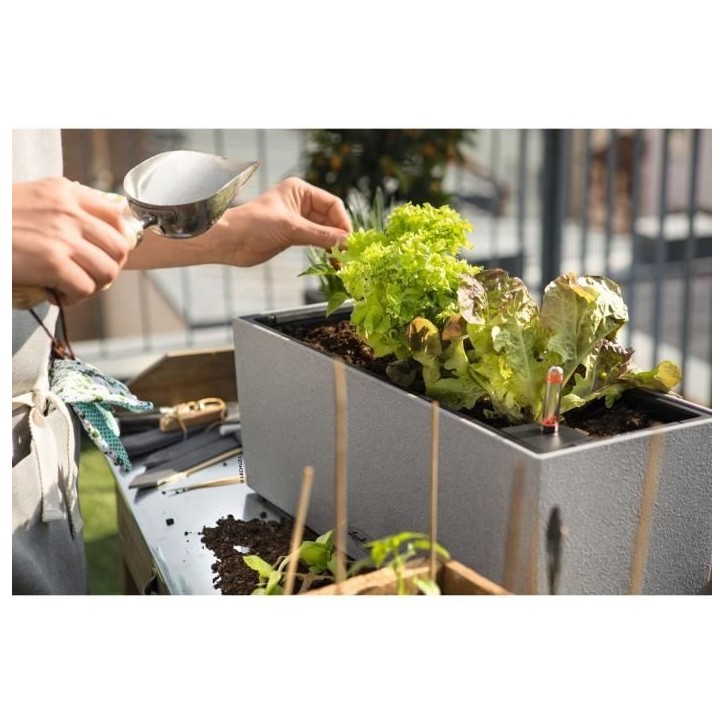 LECHUZA Jardiniere BALCONERA Stone 50 ALL-IN-ONE Gris LECHUZA Jardiniere BALCONERA Stone 50 ALL-IN-ONE Gris