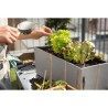 LECHUZA Jardiniere BALCONERA Stone 50 ALL-IN-ONE Gris
