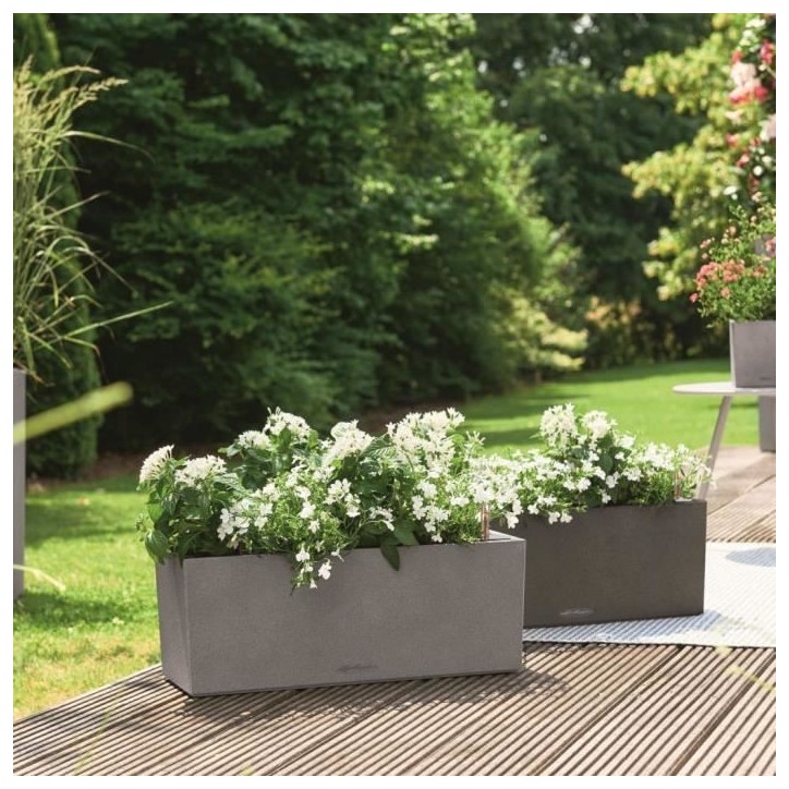LECHUZA Jardiniere BALCONERA Stone 50 ALL-IN-ONE Gris LECHUZA Jardiniere BALCONERA Stone 50 ALL-IN-ONE Gris