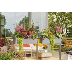 LECHUZA Jardiniere - Balconera stone 80 - 79 x 19 x 19 cm - 12 L - Kit