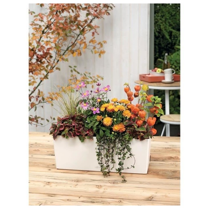 LECHUZA Jardiniere Balconera Color 50 ALL-IN-ONE Blanc 15670