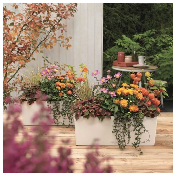 LECHUZA Jardiniere Balconera Color 50 ALL-IN-ONE Blanc 15670