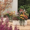 LECHUZA Jardiniere Balconera Color 50 ALL-IN-ONE Blanc 15670