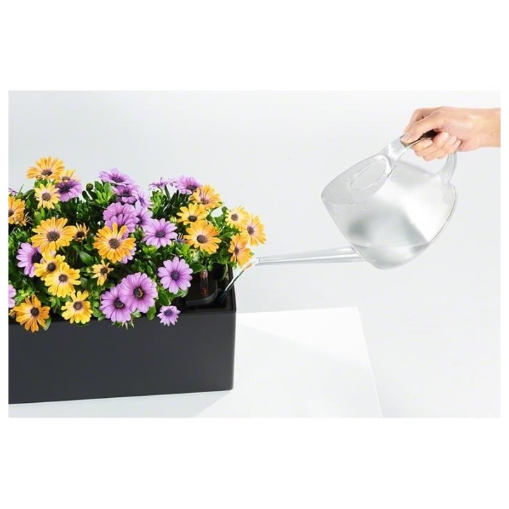 LECHUZA Kit de plantation en pot Balconera 50 - 50x19 cm - Polypropylene - Marron - Intérieur & extérieur LECHUZA Kit de plantation en pot Balconera 50 - 50x19 cm - Polypropylene - Marron - Intérieur & extérieur