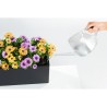 LECHUZA Kit de plantation en pot Balconera 50 - 50x19 cm - Polypropyle