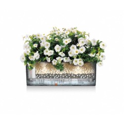LECHUZA Kit de plantation en pot Balconera 50 - 50x19 cm - Polypropyle