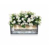 LECHUZA Kit de plantation en pot Balconera 50 - 50x19 cm - Polypropyle