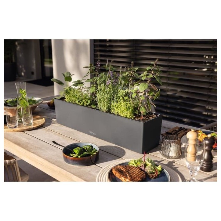 LECHUZA Jardiniere Balconera Color 80 ALL-IN-ONE Ardoise 15683 421459 LECHUZA Jardiniere Balconera Color 80 ALL-IN-ONE Ardoise 15683 421459