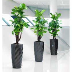 LECHUZA Pot de fleur - Diamante Premium - Ø 40 cm × 75 cm - Kit comp
