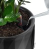 LECHUZA Pot de fleur - Diamante Premium - Ø 40 cm × 75 cm - Kit comp