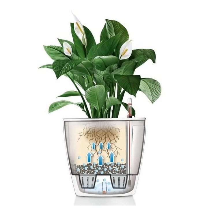 LECHUZA Jardiniere Classico 28 LS ALL-IN-ONE Blanc brillant 16040 421466 LECHUZA Jardiniere Classico 28 LS ALL-IN-ONE Blanc brillant 16040 421466