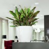 LECHUZA Jardiniere Classico 28 LS ALL-IN-ONE Blanc brillant 16040 4214