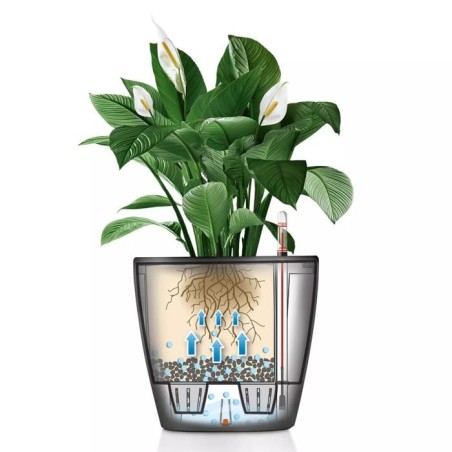 Jardiniere - LECHUZA - Classico 35 LS ALL-IN-ONE - Blanc brillant - Systeme d'irrigation - 13 L