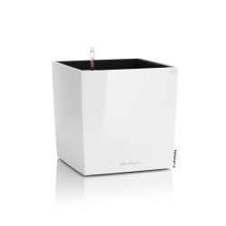 LECHUZA Pot de fleurs - Cube premium 40 - 39,0 x 39,0 x 40 cm - 31 L -