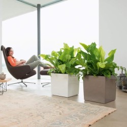LECHUZA Pot de fleur - Cube Premium 40 - 39,0 x 39,0 x 40 cm - Kit com
