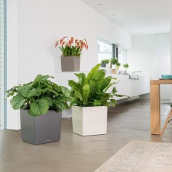 LECHUZA Pot de fleur - Cube Premium 40 - 39,0 x 39,0 x 40 cm - Kit com