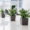 LECHUZA Pot de fleur - Cube Premium 50 - 49 x 49 x 49,5 cm - Kit compl