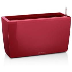 LECHUZA Jardiniere - Cararo Premium - 75 x 30 x 42,5 cm - Kit complet