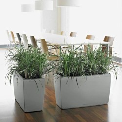 LECHUZA Jardiniere - Cararo Premium - 75 x 30 x 42,5 cm - Kit complet