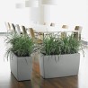 LECHUZA Jardiniere - Cararo Premium - 75 x 30 x 42,5 cm - Kit complet
