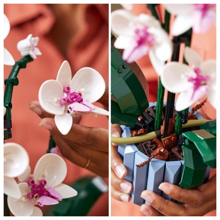LEGO Icons 10311 L'Orchidée Plantes de Fleurs Artificielles d'Intérieur, Décoration de Maison LEGO Icons 10311 L'Orchidée Plantes de Fleurs Artificielles d'Intérieur, Décoration de Maison