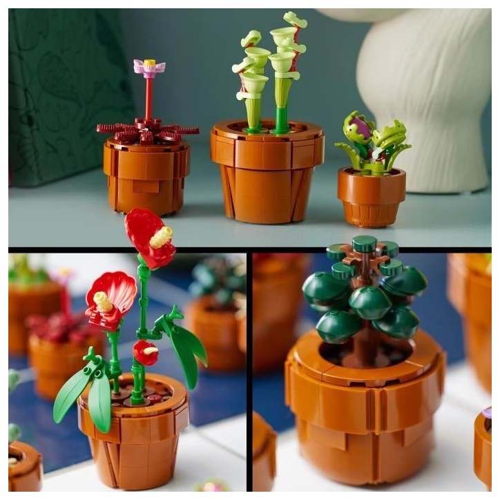 LEGO Icons 10329 Les Plantes Miniatures, Collection Botanique 9 Plantes Artificielles avec des Fleurs, Décoration d'Intérieur LEGO Icons 10329 Les Plantes Miniatures, Collection Botanique 9 Plantes Artificielles avec des Fleurs, Décoration d'Intérieur