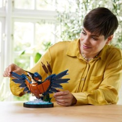 LEGO Icons 10331 Le Martin-pecheur, Kit de Maquette pour Adultes, Idé