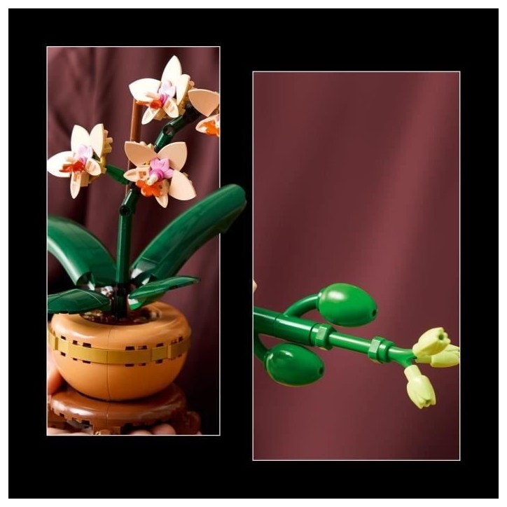 LEGO Botanique 10343 L'orchidée miniature - Fleurs artificielles - Idée cadeau pour femme LEGO Botanique 10343 L'orchidée miniature - Fleurs artificielles - Idée cadeau pour femme