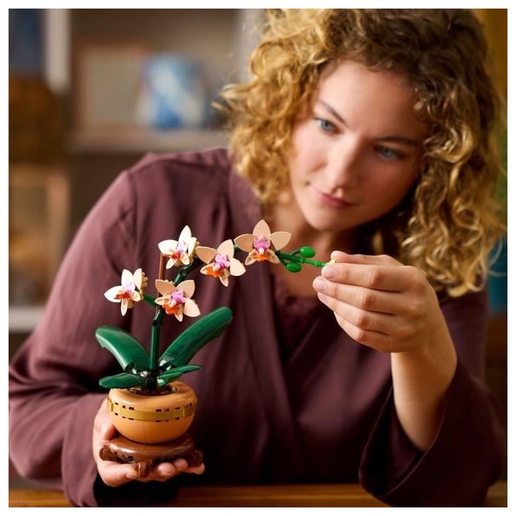 LEGO Botanique 10343 L'orchidée miniature - Fleurs artificielles - Idée cadeau pour femme LEGO Botanique 10343 L'orchidée miniature - Fleurs artificielles - Idée cadeau pour femme