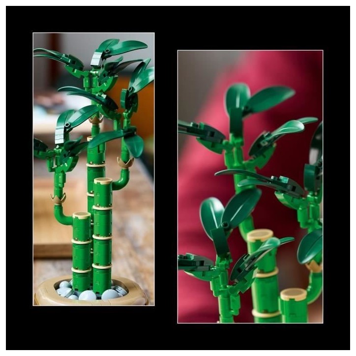 LEGO Botanique 10344 Le bambou de la chance - Plante artificielle et décoration intérieure LEGO Botanique 10344 Le bambou de la chance - Plante artificielle et décoration intérieure
