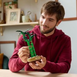 LEGO Botanique 10344 Le bambou de la chance - Plante artificielle et d